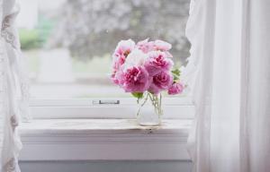 Pink flowers on window wallpaper thumb