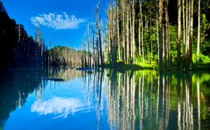 Beautiful nature scenery, lake, trees, water reflection, sun wallpaper thumb