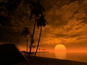 tropic of capicorn  Beach Moon PALMTREES sunset HD wallpaper thumb