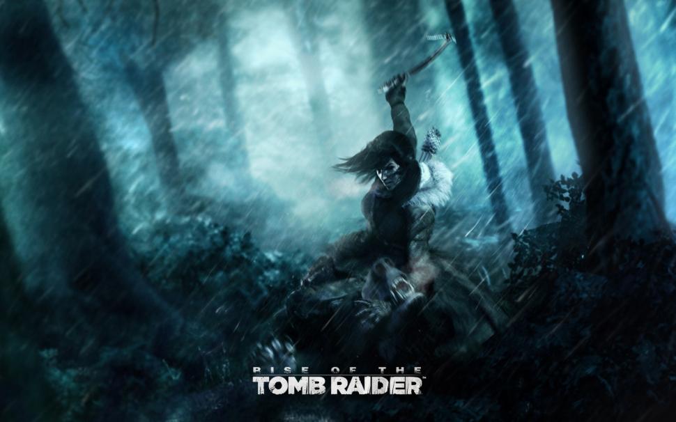 Rise of the Tomb Raider wallpaper,lara croft wallpaper,tomb raider wallpaper,forest wallpaper,rain wallpaper,1680x1050 wallpaper