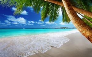 Tropical paradise on beach wallpaper thumb