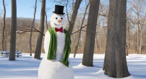 new year, christmas, winter, snowman, scarf, trees, snow wallpaper thumb