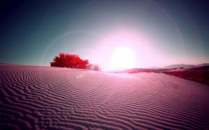 Desert Sand Lens Flare Sun Sunlight HD wallpaper thumb