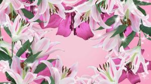 Pink Lilies wallpaper thumb
