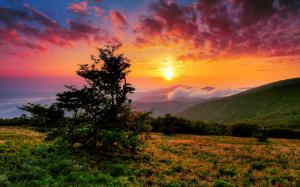 USA, North Carolina, morning, clouds, sunrise, mountains, hills, trees wallpaper thumb