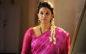 Tamil and Telugu Actress Anjali wallpaper thumb