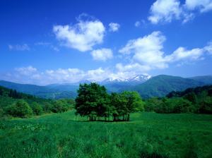 Trees, mountains, grass, sky, clouds, valley wallpaper thumb
