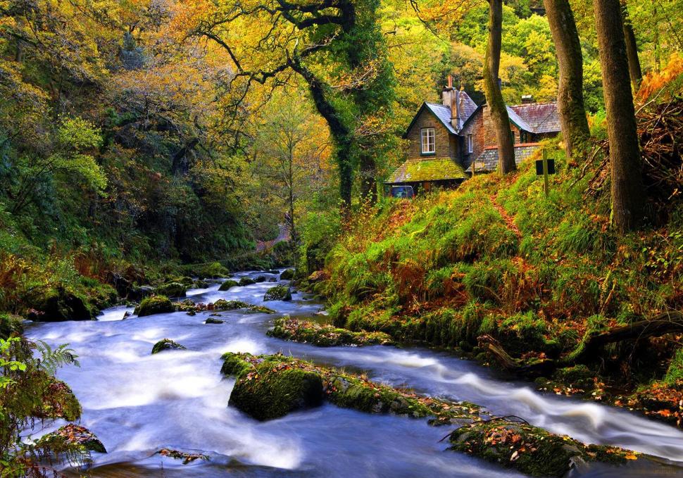 Forest Cottages wallpaper,lovely HD wallpaper,peacweful HD wallpaper,cabin HD wallpaper,nice HD wallpaper,grass HD wallpaper,beautiful HD wallpaper,water HD wallpaper,trees HD wallpaper,colorful HD wallpaper,river HD wallpaper,quiet HD wallpaper,pretty HD wallpaper,cree HD wallpaper,1920x1344 wallpaper
