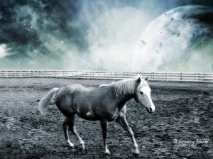 Dreamy Horse World HD wallpaper thumb