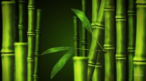 Bamboo So Green wallpaper thumb