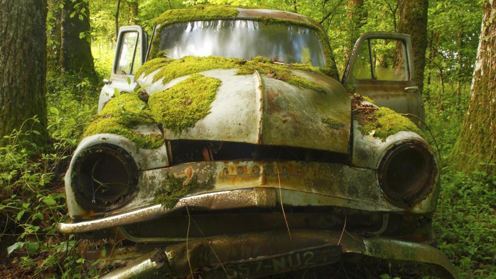 Old car forgotten in the woods wallpaper,photography HD wallpaper,1920x1080 HD wallpaper,tree HD wallpaper,forest HD wallpaper,moss HD wallpaper,1920x1080 wallpaper