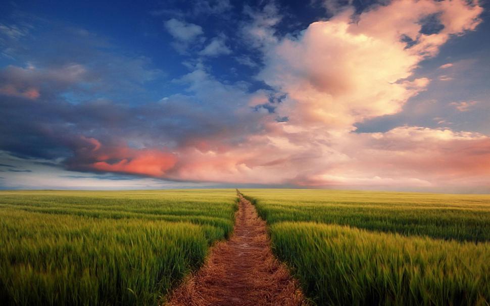 A Road To Somewhere wallpaper,meadow HD wallpaper,grass HD wallpaper,beautiful HD wallpaper,sunset HD wallpaper,field HD wallpaper,peaceful HD wallpaper,road HD wallpaper,colorful HD wallpaper,splendor HD wallpaper,clouds HD wallpaper,beauty HD wallpaper,landsca HD wallpaper,1920x1200 wallpaper