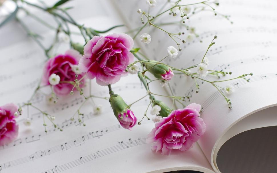 Carnations, flowers, book, musical scores wallpaper,Carnations HD wallpaper,Flowers HD wallpaper,Book HD wallpaper,Musical HD wallpaper,1920x1200 wallpaper