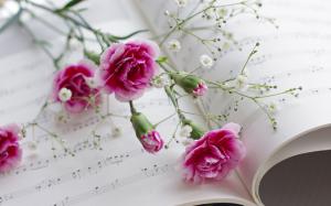 Carnations, flowers, book, musical scores wallpaper thumb