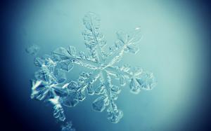 Snowflake Winter Macro Blue HD wallpaper thumb