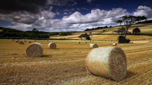 Summer, farm field, hay, clouds wallpaper thumb