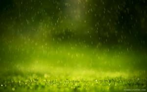 Green Rain Drops wallpaper thumb