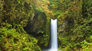 USA, Oregon, Multnomah falls, moss, shrubs, waterfall wallpaper thumb