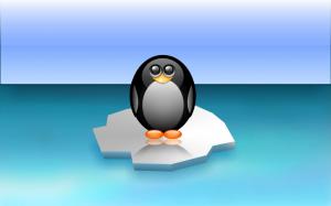 penguin, ice floe, minimalism, antarctic, sea wallpaper thumb