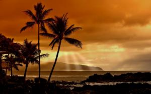 Sunset in the Tropics wallpaper thumb