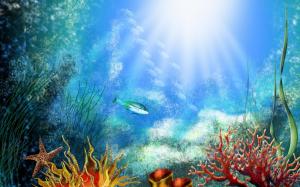 Underwater world corals wallpaper thumb