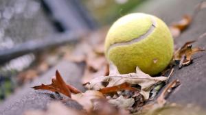 Tennis ball leaves fall mood wallpaper thumb