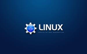 Linux Logo wallpaper thumb