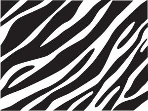 Animals, Zebra, Skin, Black, White, Lines, Abstract wallpaper thumb
