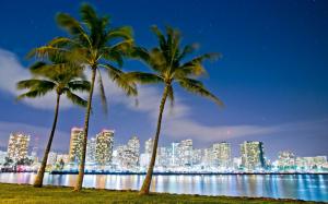 Hawaii, Honolulu, Beach Park, buildings, night, lights wallpaper thumb