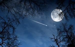 Night, Meteor, Moon, Twigs, Sky wallpaper thumb