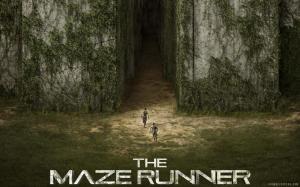 The Maze Runner 2014 Movie wallpaper thumb