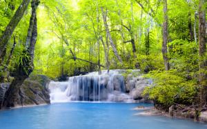 Trees, waterfalls, forest, river, summer wallpaper thumb