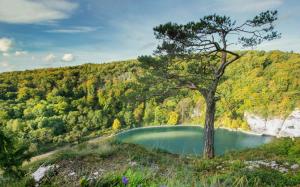 Germany, Bavaria, beautiful landscape, trees, river wallpaper thumb