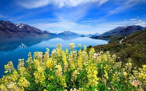 Mountains, lake, flowers wallpaper thumb