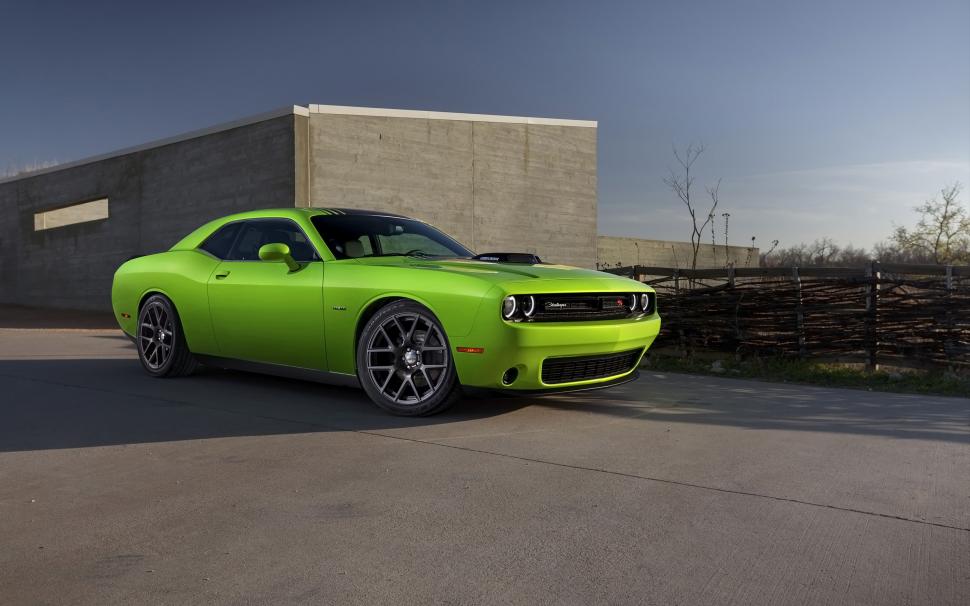 2015 Dodge Challenger GreenRelated Car Wallpapers wallpaper,dodge HD wallpaper,challenger HD wallpaper,green HD wallpaper,2015 HD wallpaper,2560x1600 wallpaper
