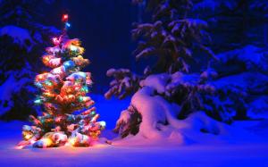 Snow and lights on tree in the forest, Christmas wallpaper thumb
