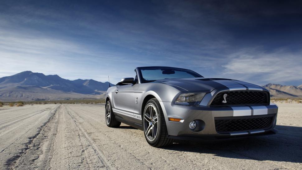 Ford Mustang Shelby wallpaper,shelby HD wallpaper,2560x1440 wallpaper