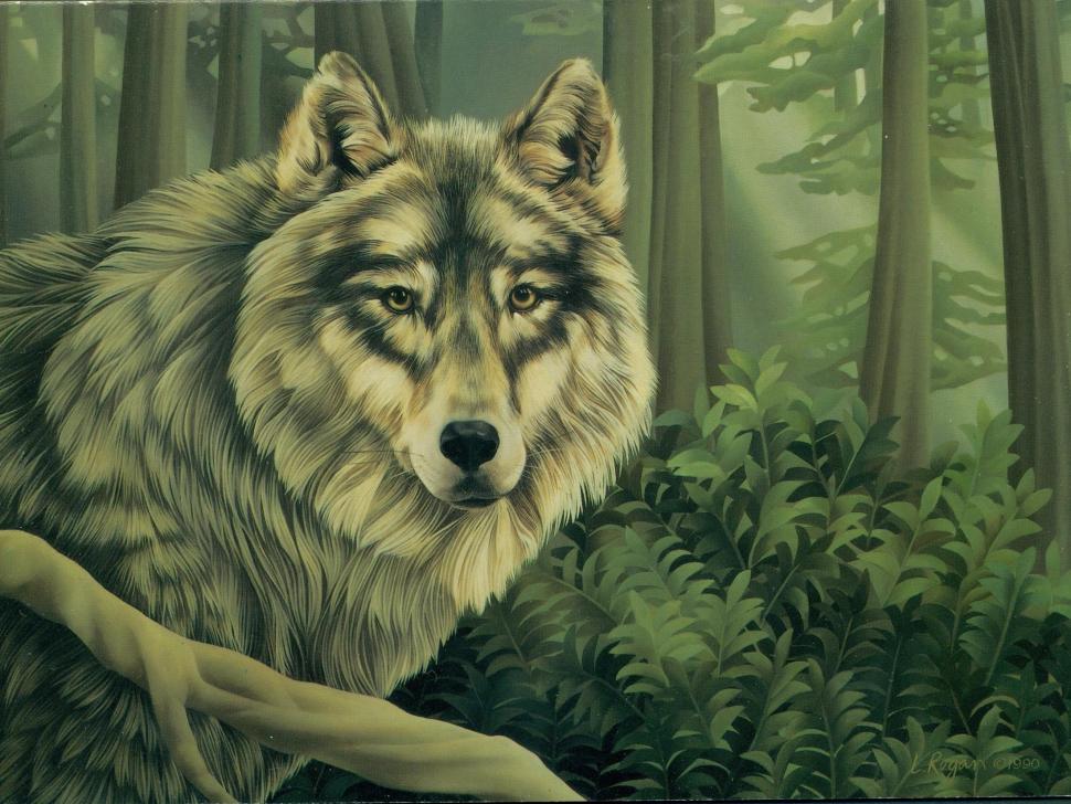 Grey Wolf Painting wallpaper,animals HD wallpaper,grey HD wallpaper,wolf HD wallpaper,painting HD wallpaper,beauty HD wallpaper,2201x1654 wallpaper