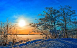 Winter, trees, snow, sunset, blue sky wallpaper thumb