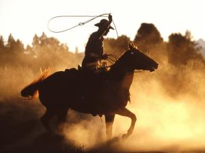 Lasso Rope Dust Horse Cowboy Shadow Silhouette HD wallpaper thumb