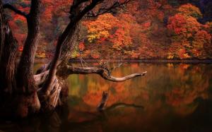 Lake, Forest, Fall, South Korea, Sadness, Nature wallpaper thumb