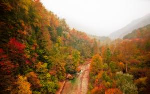 Mountain, forest, river, autumn, fog, red leaves wallpaper thumb