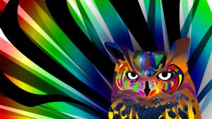 Owl Bird Abstract Colorful HD wallpaper thumb
