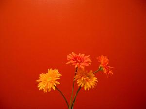 Orange Flowers 1 wallpaper thumb