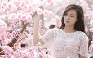 Pink cherry flowers, asian girl white clothes wallpaper thumb