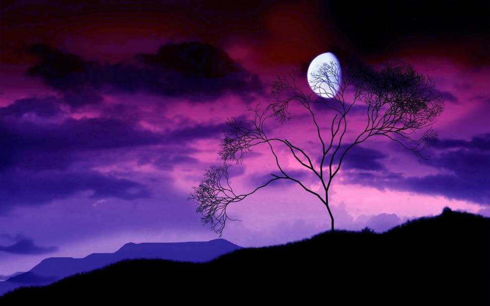 Tree branches, the moon at night, purple sky wallpaper,Tree HD wallpaper,Branch HD wallpaper,Moon HD wallpaper,Night HD wallpaper,Purple HD wallpaper,Sky HD wallpaper,2560x1600 wallpaper