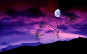 Tree branches, the moon at night, purple sky wallpaper thumb