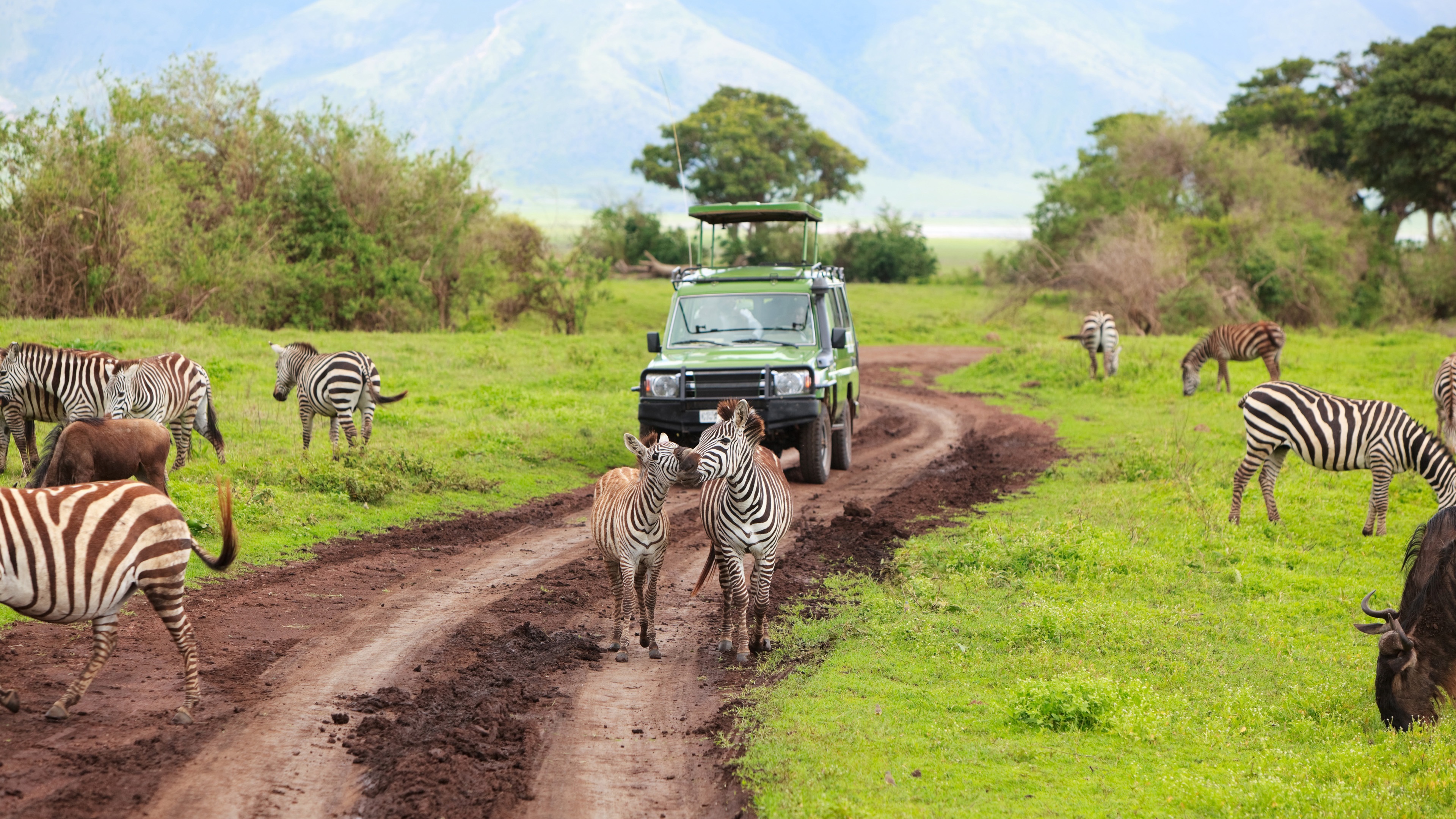 tanzania kenya safari