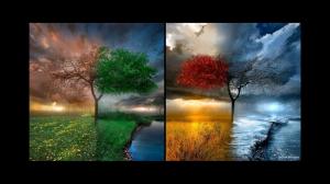 Four Seasons HD wallpaper thumb