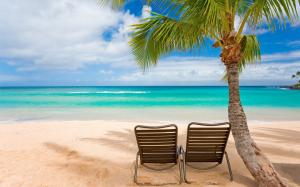Tropical Palm Tree Tree Ocean Beach Chair HD wallpaper thumb